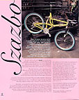 1998 Ibis Catalog - page 12