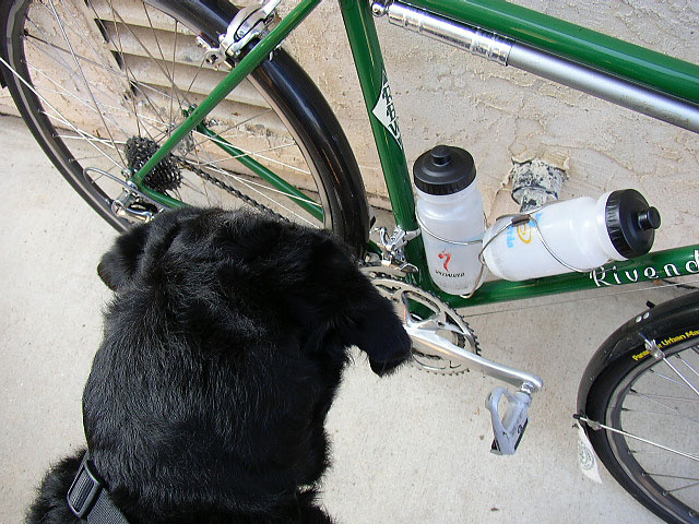 Rivendell Road Conversion - Indy ponders the crankset