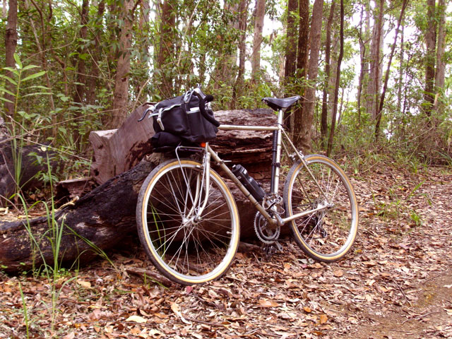 Raleigh 650B Conversion -  in the woods
