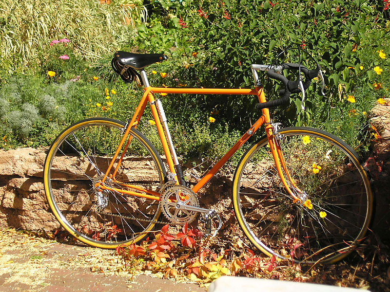 Raleigh Competition - in the garden