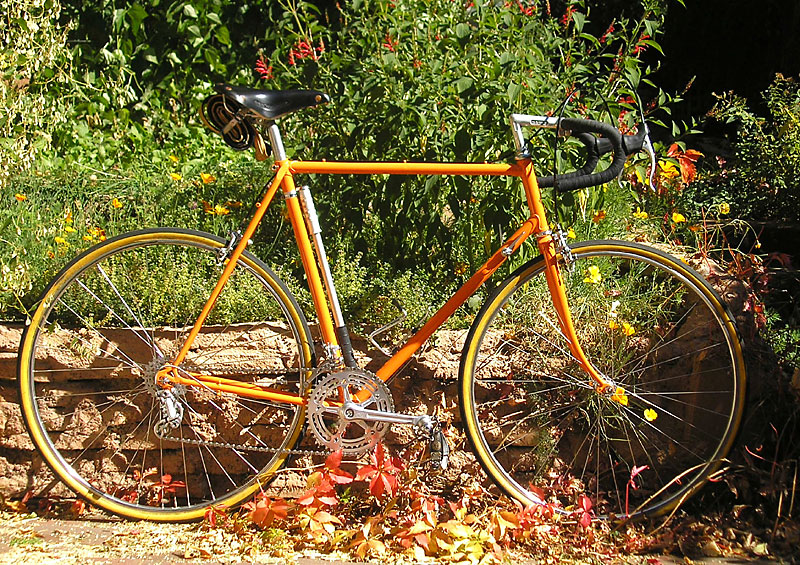 Raleigh Competition - side view