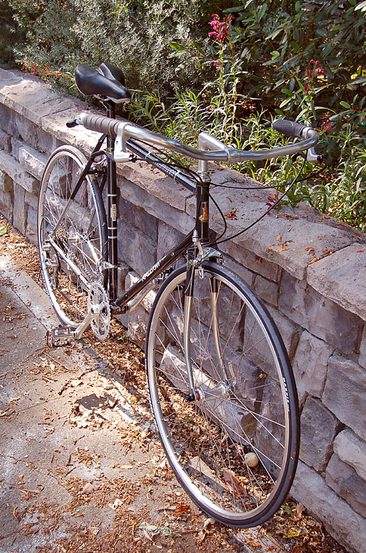 Raleigh Commuter - front angled view