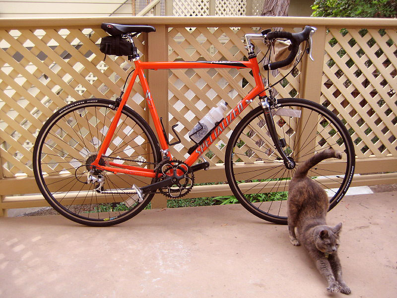 Specialized Allez - side view with S'more