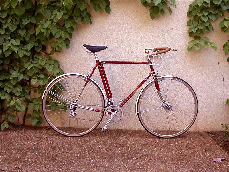 Raleigh Competition - side view