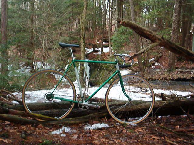 Dawes Fixed Gear - side view in the woods
