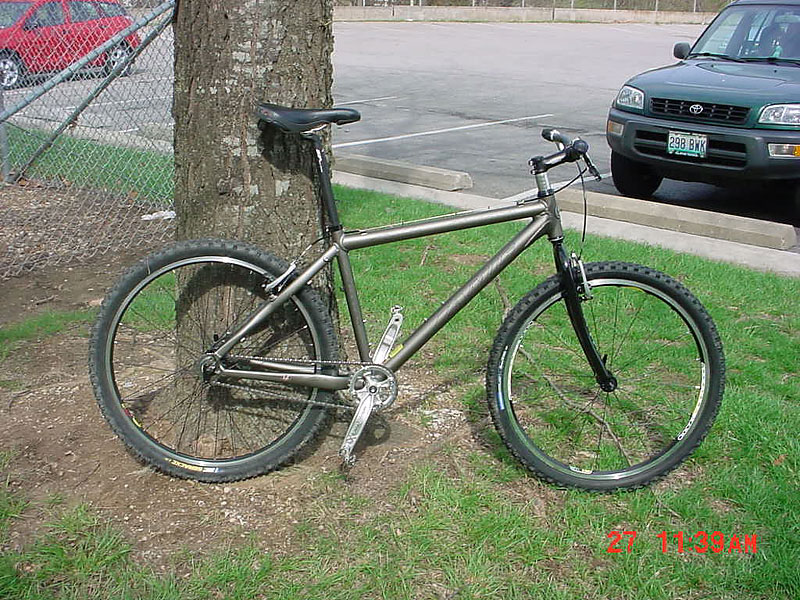 Singlespeed with Surly fork - side view