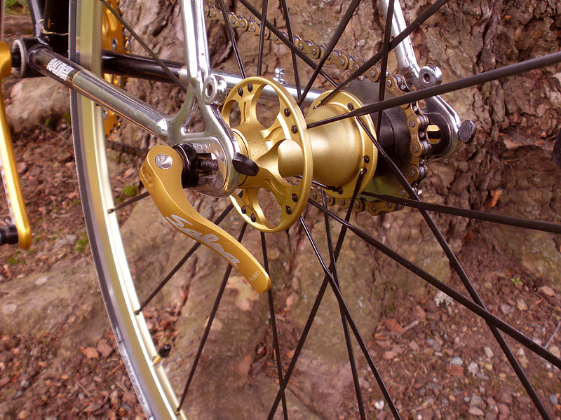 Raleigh Competition GS - rear hub detail