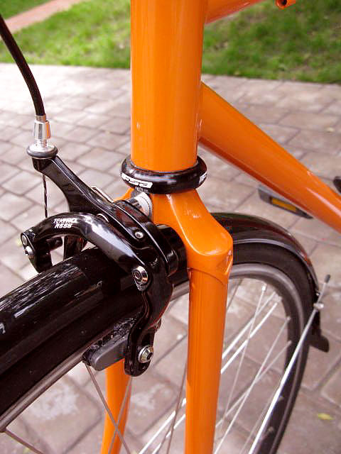 ANT bike tribute - fork crown detail