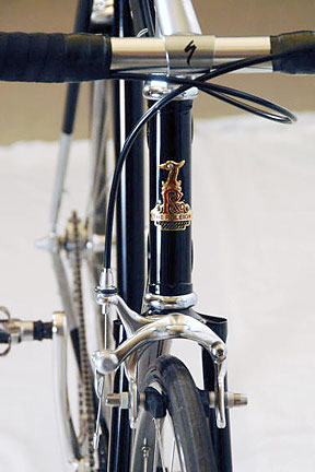 Raleigh Professional - front view