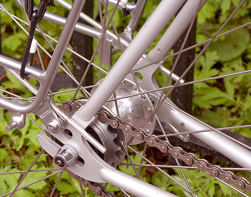 Rivendell Quickbeam - rear hub detail