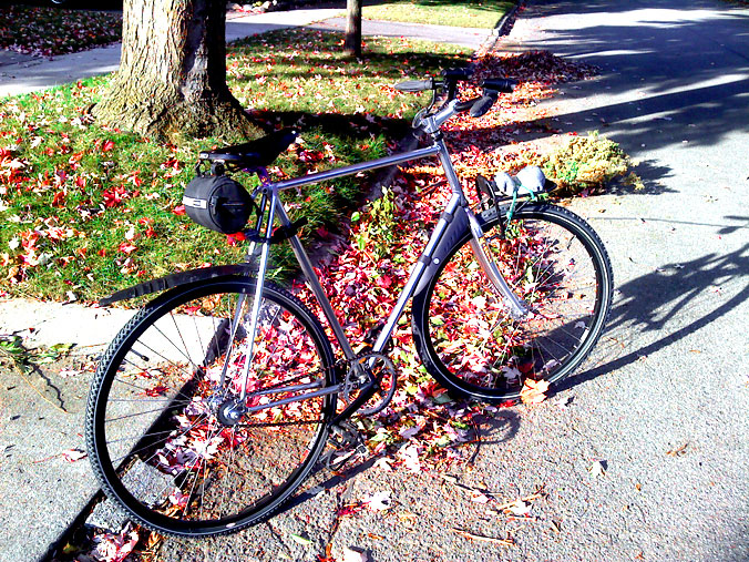 Winter Bike - in the leaves