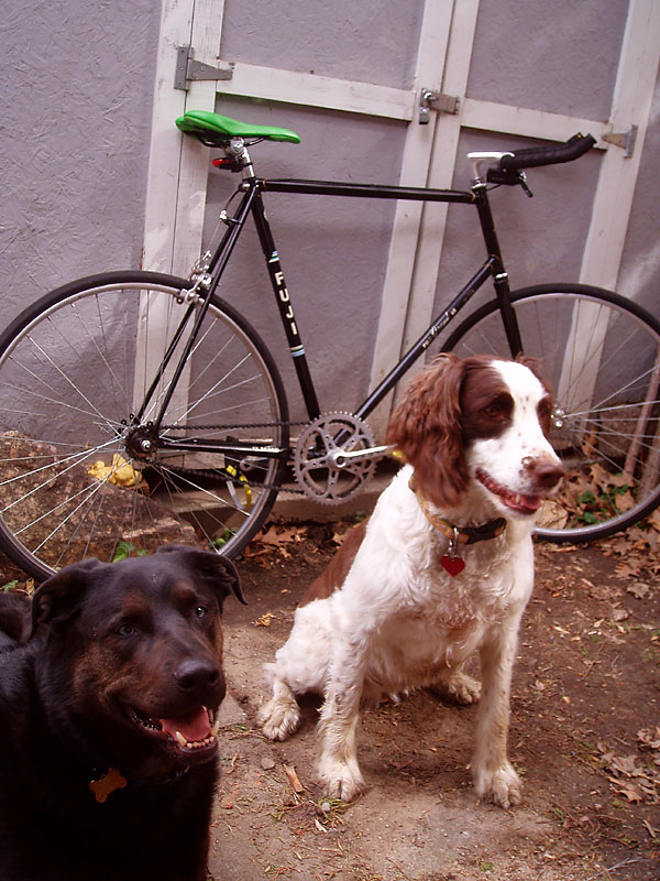 Fuji Grand SE - And Two Good Dogs