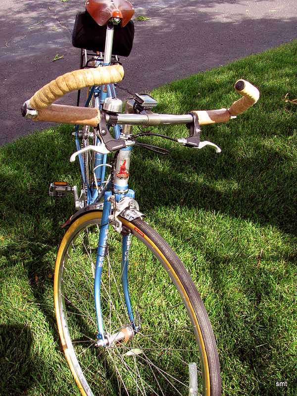 Raleigh Sportif - front end detail