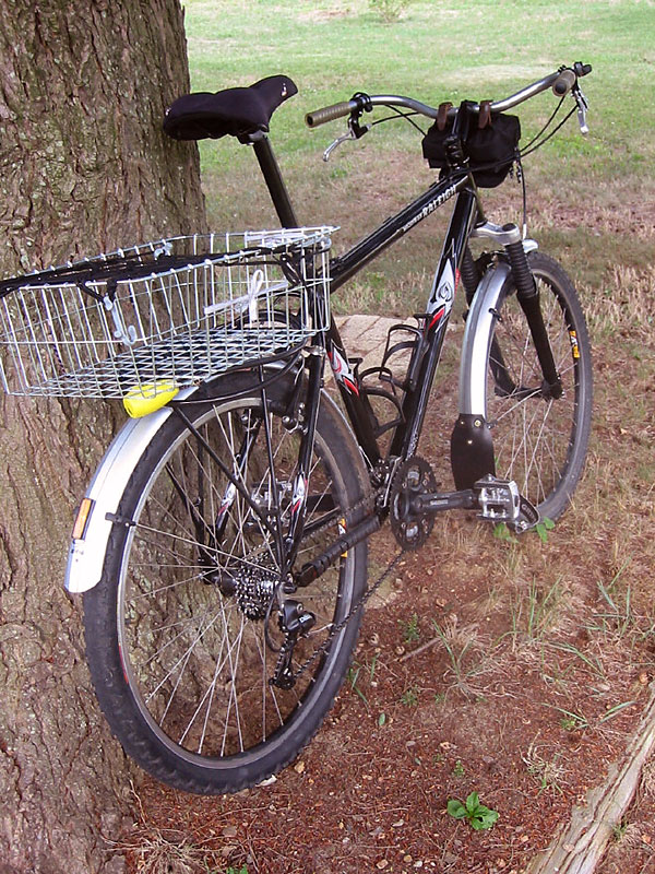 Raleigh Grocery Getter - rear quarter view