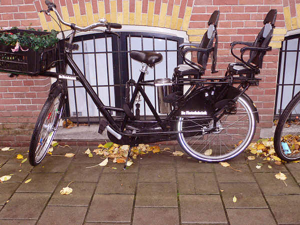 Amsterdam Family bike - side view